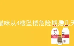 猫咪从4楼坠楼危险期是几天