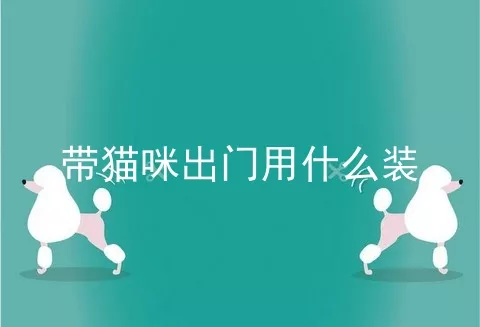 带猫咪出门用什么装