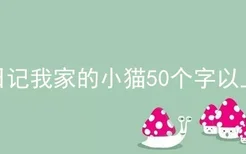 日记我家的小猫50个字以上