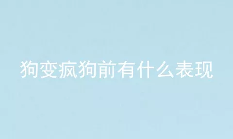 狗变疯狗前有什么表现