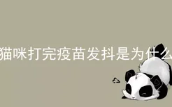 猫咪打完疫苗发抖是为什么