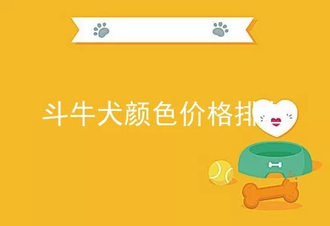 斗牛犬颜色价格排名