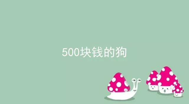 500块钱的狗