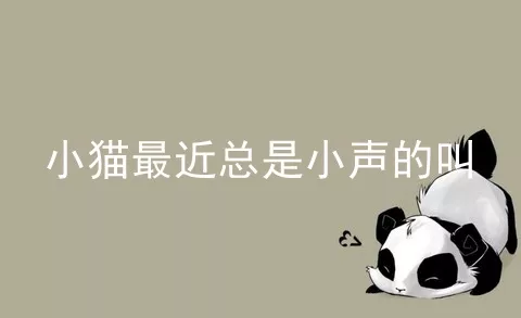 小猫最近总是小声的叫