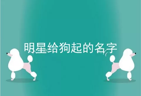 明星给狗起的名字