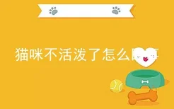 猫咪不活泼了怎么回事