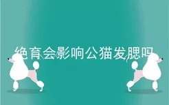 绝育会影响公猫发腮吗