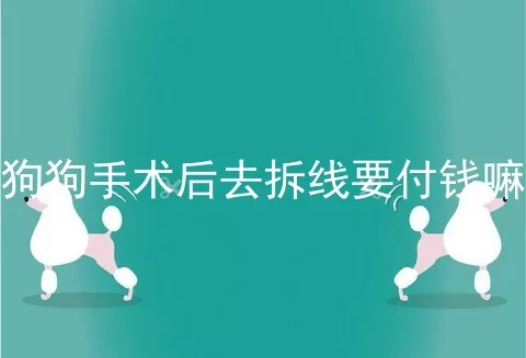 狗狗手术后去拆线要付钱嘛