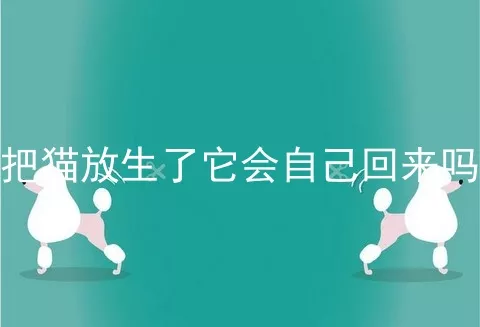 把猫放生了它会自己回来吗