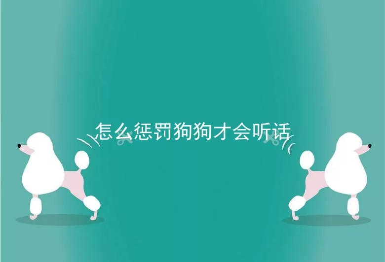 怎么惩罚狗狗才会听话