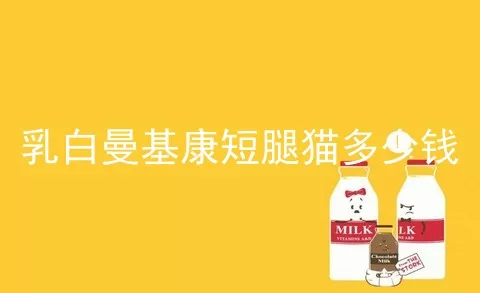 乳白曼基康短腿猫多少钱