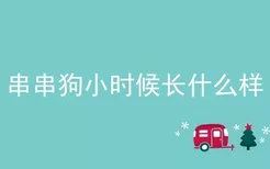 串串狗小时候长什么样