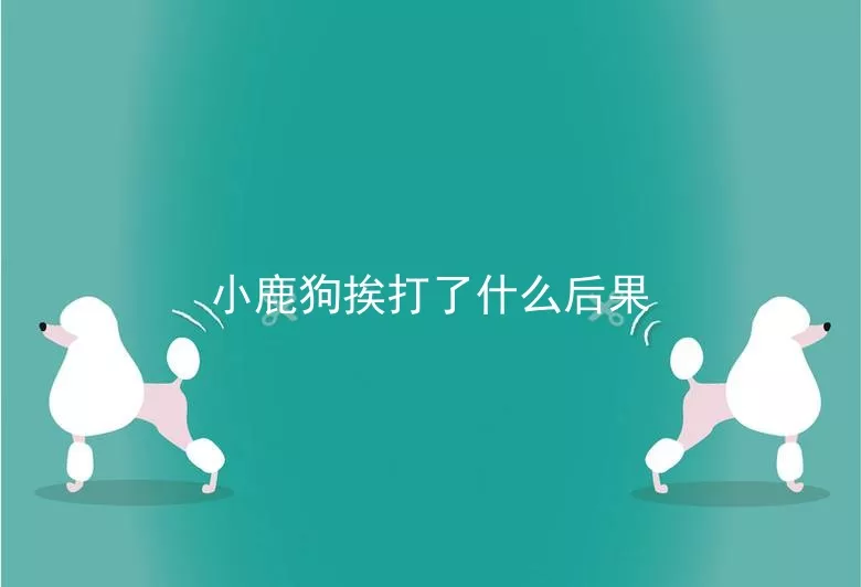 小鹿狗挨打了什么后果