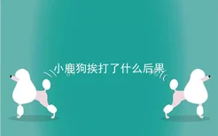 小鹿狗挨打了什么后果