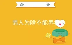 男人为啥不能养猫