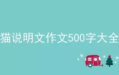 猫说明文作文500字大全