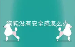 狗狗没有安全感怎么办