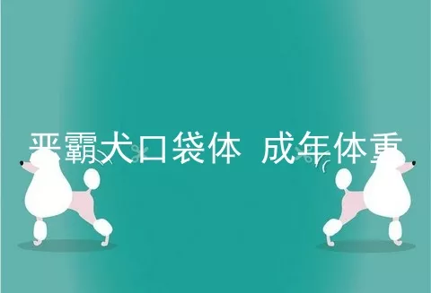 恶霸犬口袋体 成年体重