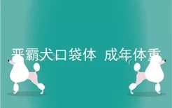 恶霸犬口袋体 成年体重