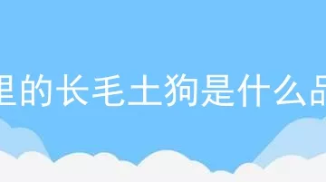 家里的长毛土狗是什么品种