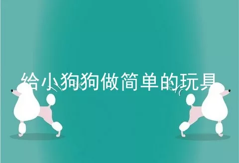 给小狗狗做简单的玩具