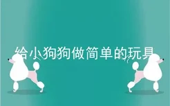 给小狗狗做简单的玩具