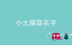 小土猫取名字