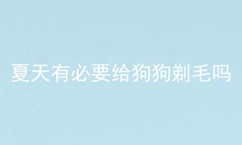 夏天有必要给狗狗剃毛吗