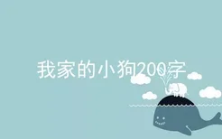 我家的小狗200字