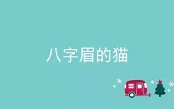 八字眉的猫