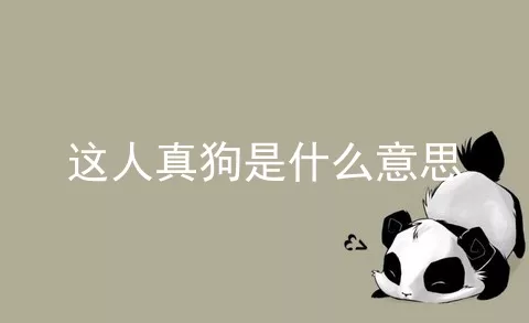 这人真狗是什么意思