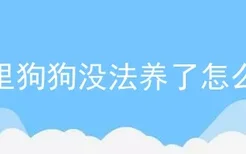 家里狗狗没法养了怎么办