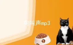 狗叫声mp3