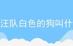 汪汪队白色的狗叫什么