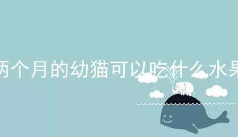 两个月的幼猫可以吃什么水果