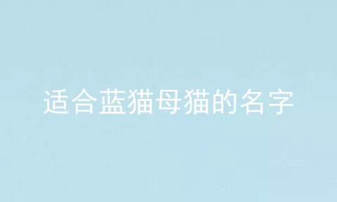 适合蓝猫母猫的名字