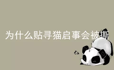 为什么贴寻猫启事会被撕