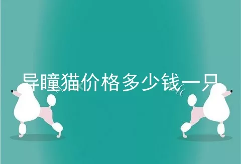 异瞳猫价格多少钱一只