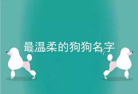 最温柔的狗狗名字