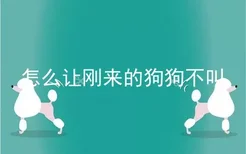 怎么让刚来的狗狗不叫