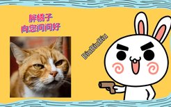 猫咪可以吃香蕉吗(猫咪能不能吃香蕉)