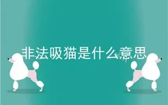 非法吸猫是什么意思