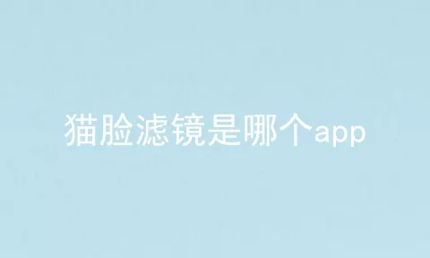 猫脸滤镜是哪个app