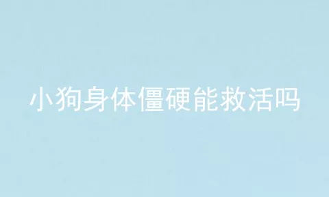 小狗身体僵硬能救活吗