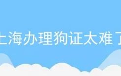 上海办理狗证太难了