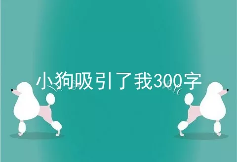 小狗吸引了我300字