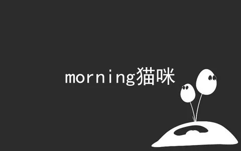 morning猫咪