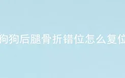 狗狗后腿骨折错位怎么复位