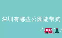 深圳有哪些公园能带狗