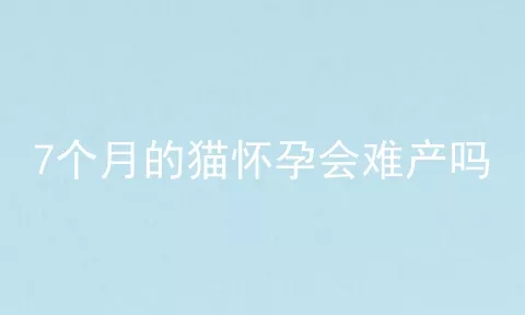 7个月的猫怀孕会难产吗